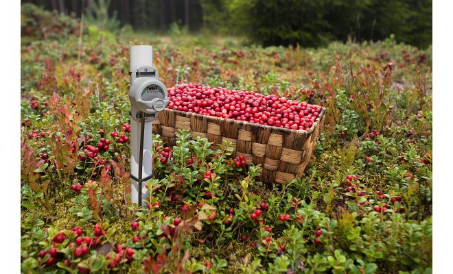 HOBO MX TidbiT External Temperature Logger image 4