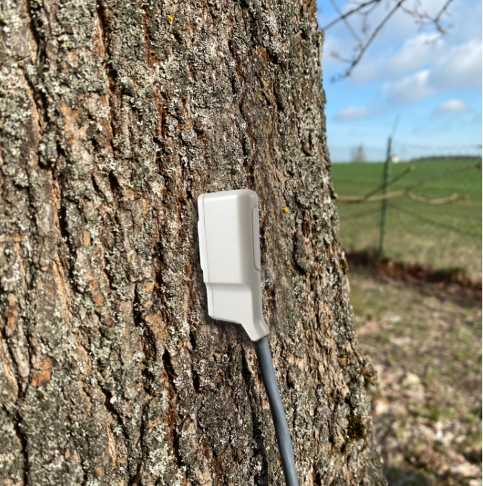 SFM-5 Capteur de débit Sap